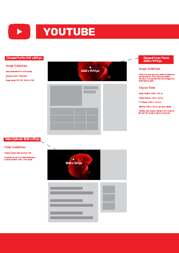 Your Guide To Social Media Image Sizes Cats Labs Creative